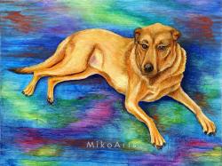 Sanford Chillin', a Rescue Dog Portrait