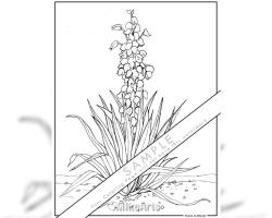 Yucca in Bloom Coloring Page