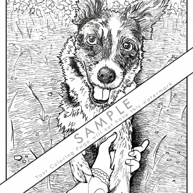 JoJo the Heeler's Coloring Page