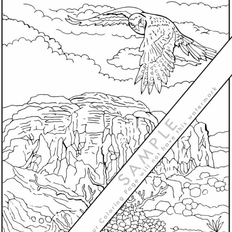Kestrel in Canyon Coloring Page